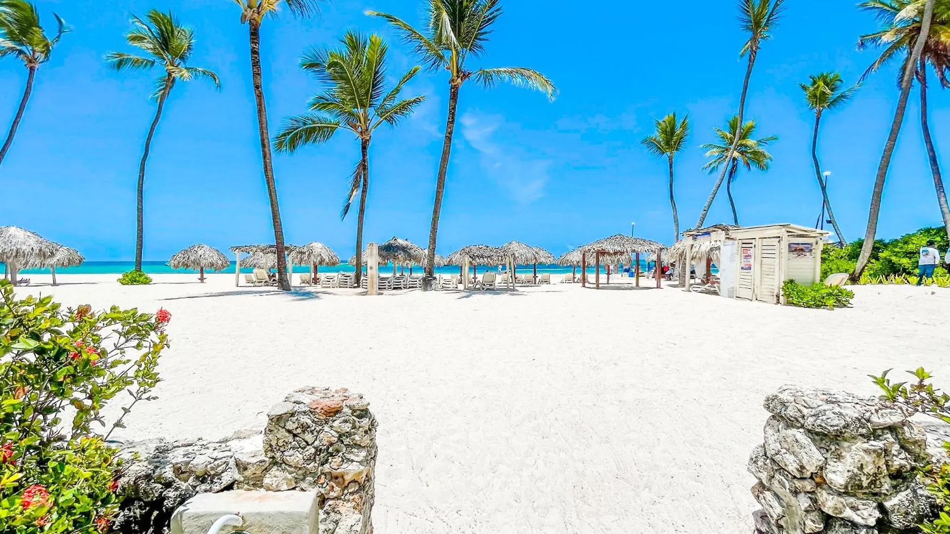 SUN&SAND Caribbean FUN&LOVE Del Mar STUDIOS BEACH CLUB & SPA Πούντα Κάνα